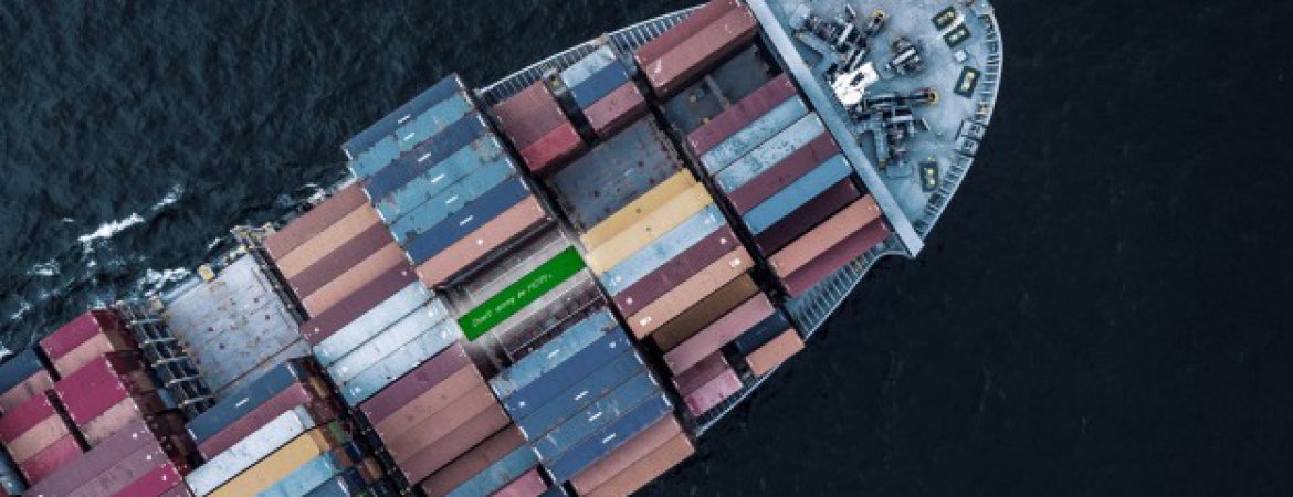 New Ocean Freight services